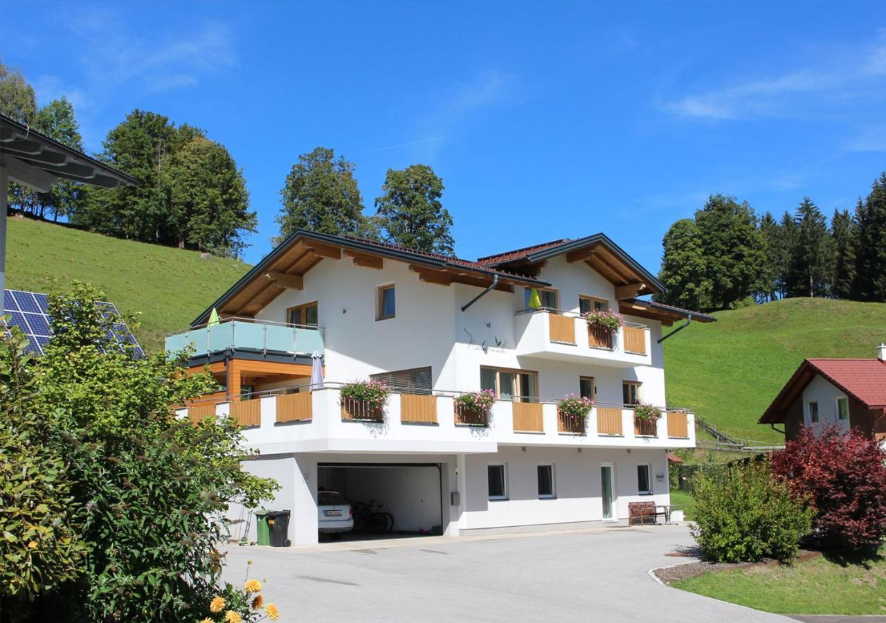 Appartements Naturnah Schladming Dış mekan fotoğraf