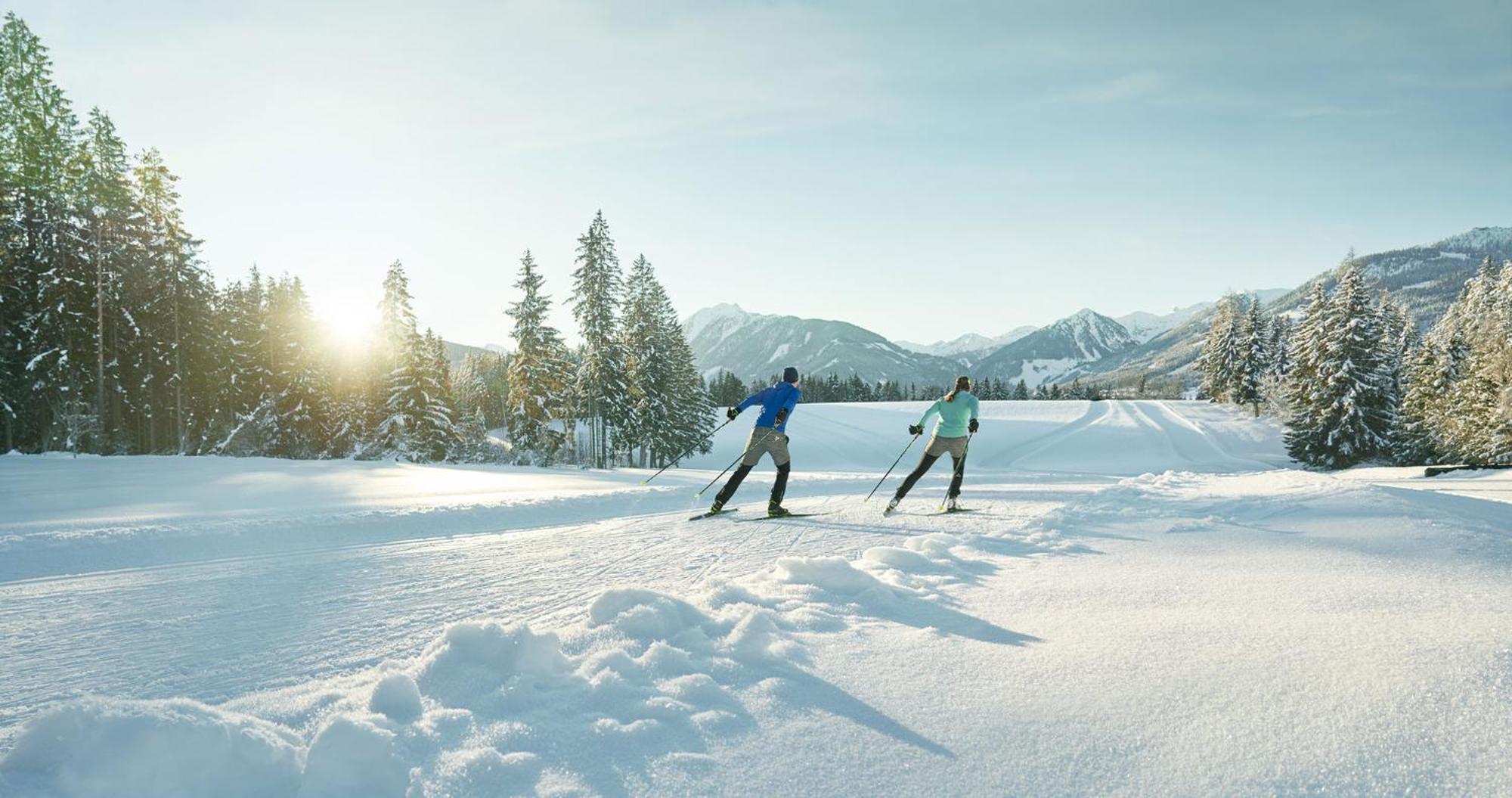 Appartements Naturnah Schladming Dış mekan fotoğraf