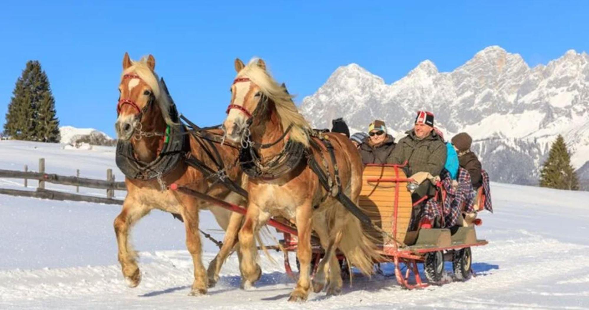 Appartements Naturnah Schladming Dış mekan fotoğraf