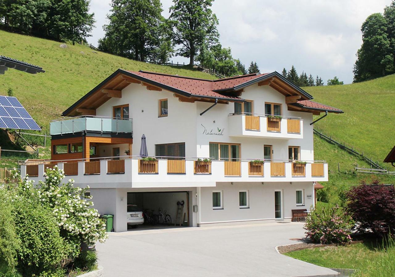 Appartements Naturnah Schladming Dış mekan fotoğraf