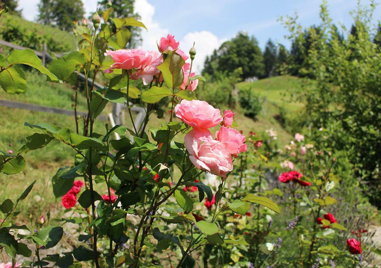 Appartements Naturnah Schladming Dış mekan fotoğraf
