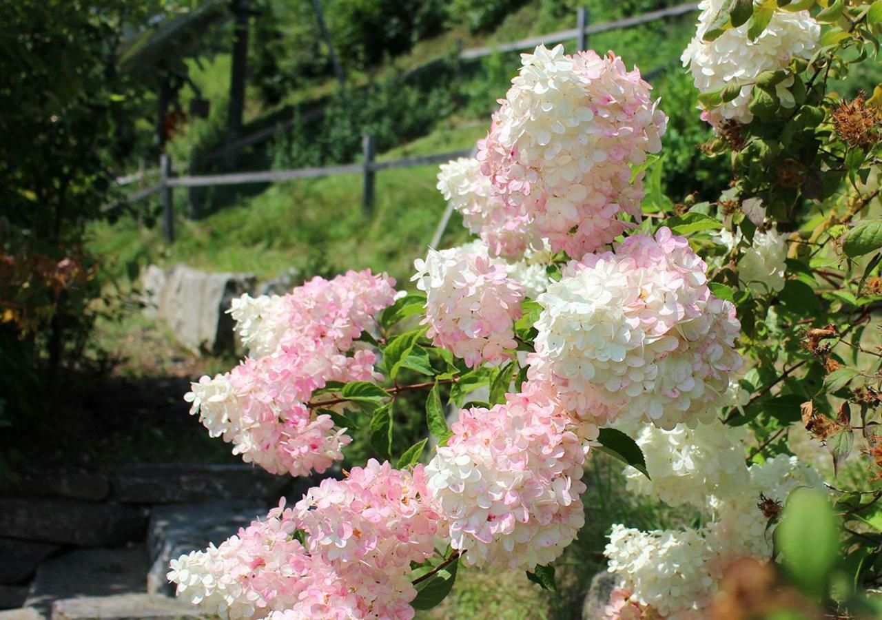 Appartements Naturnah Schladming Dış mekan fotoğraf